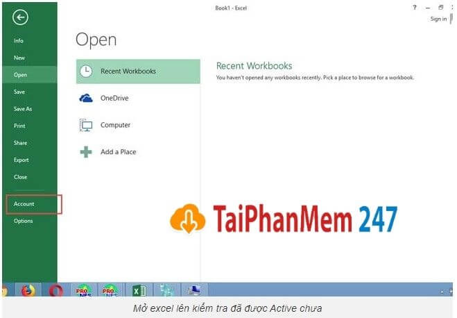 active office excel 2013