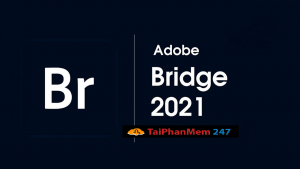 Adobe Bridge CC 2021